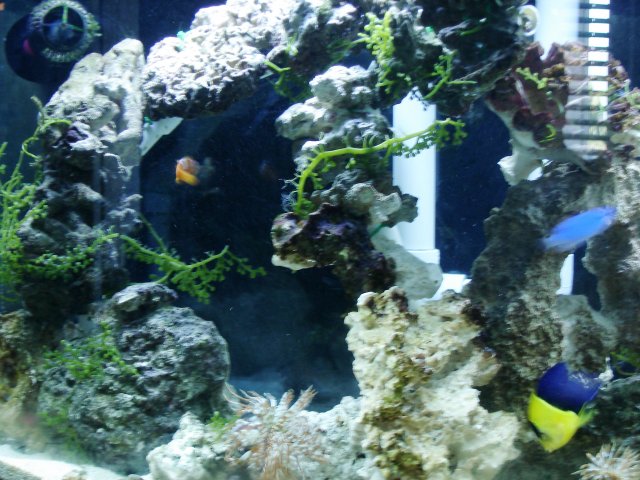 Picture 010.jpg