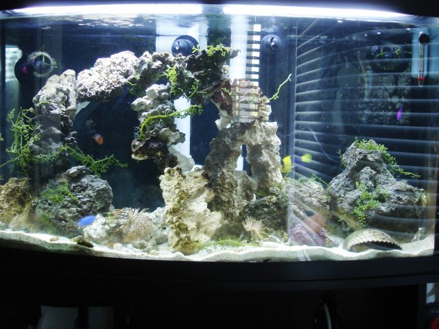 Picture 011.jpg