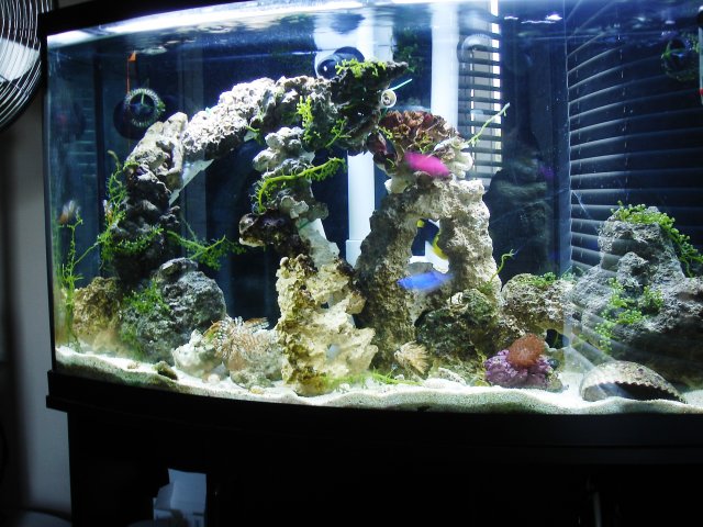 Picture 013.jpg
