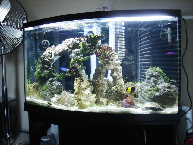 Picture 015.jpg