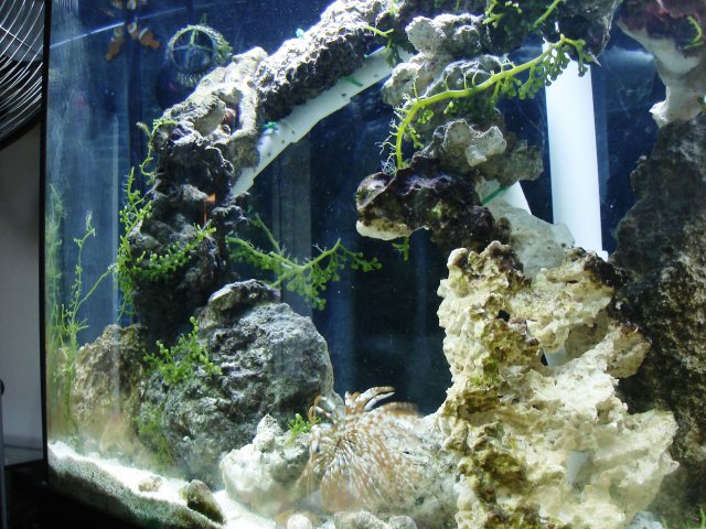 Picture 018.jpg
