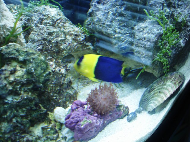 Picture 026.jpg