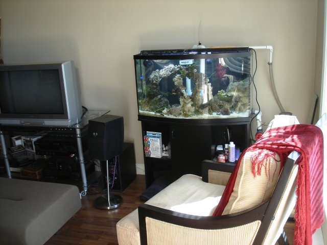 Picture 034.jpg