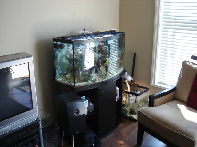 Picture 035.jpg