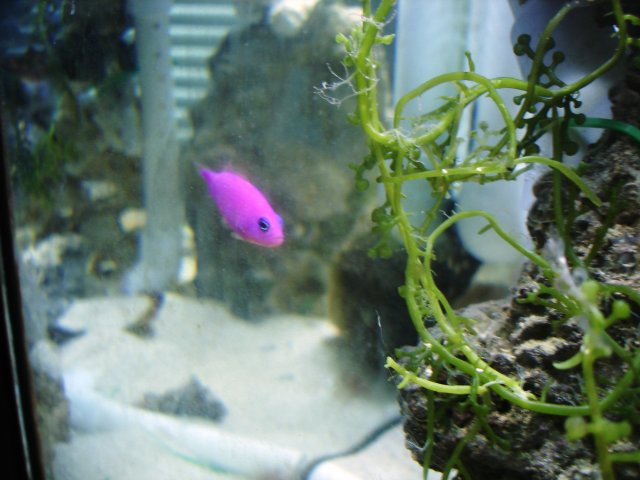 Picture 030.jpg
