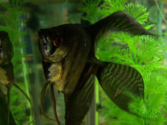 5-14-2007 078.jpg