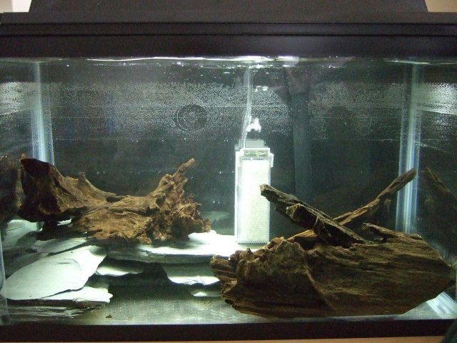 2007-07-07 10gal Full.JPG