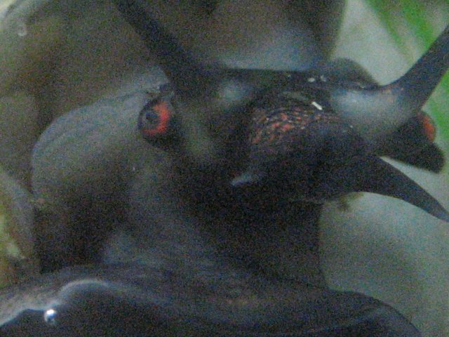 IMG_0010.JPG