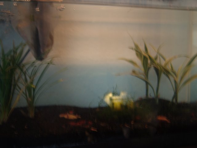 DSC09375.JPG