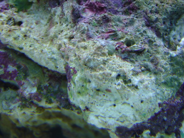 DSC00284.JPG DSC00284.JPG
