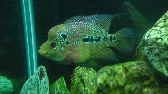 P1010035.JPG