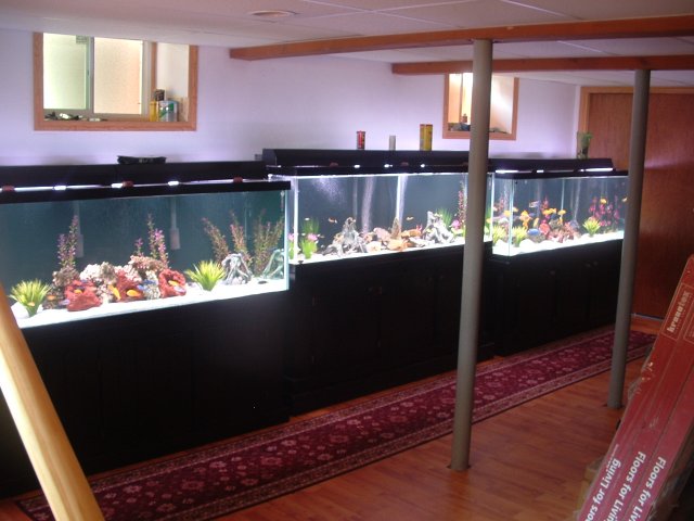 Picture 011.jpg