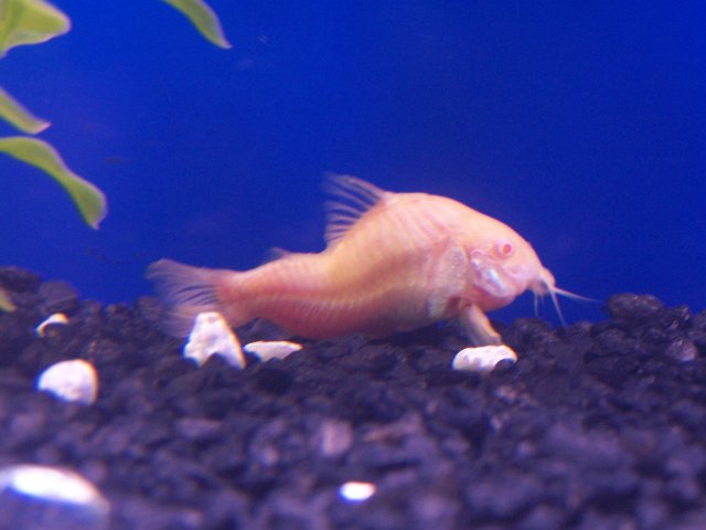 100_1906.jpg