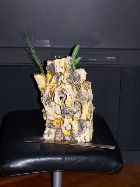 100_1911.jpg