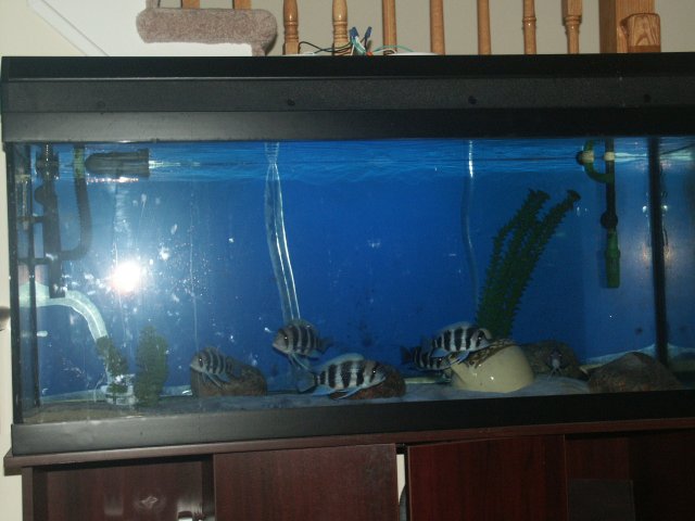 PICT0303.JPG