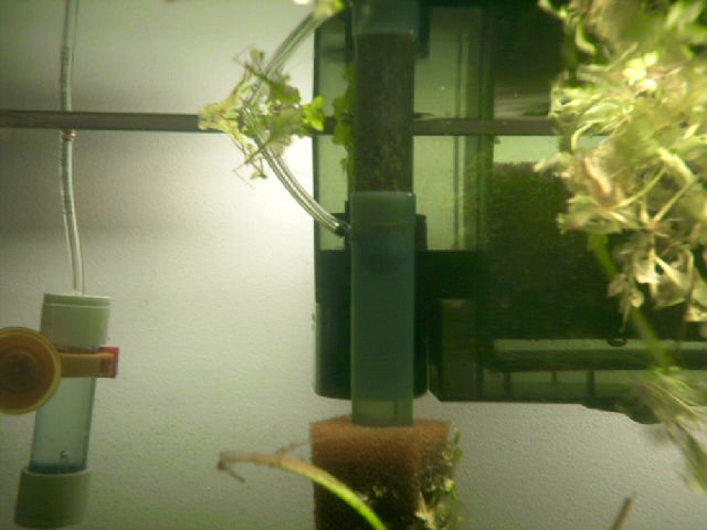 co2reactor2.JPG