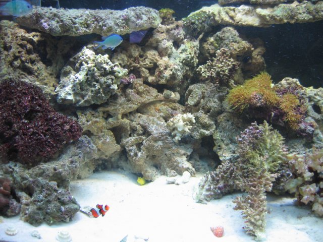 IMG_1004.JPG