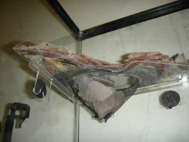 KICX2079.JPG KICX2079.JPG