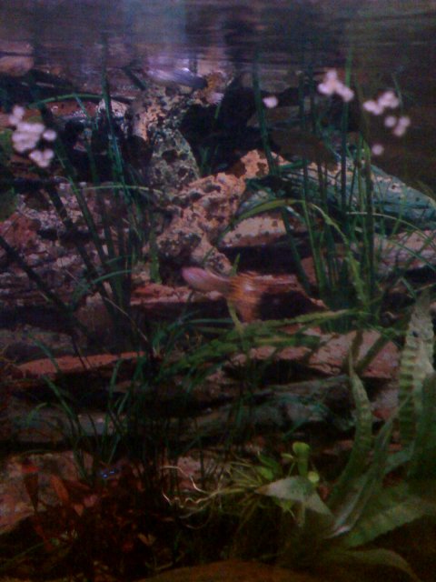 16-07-07_2142.jpg