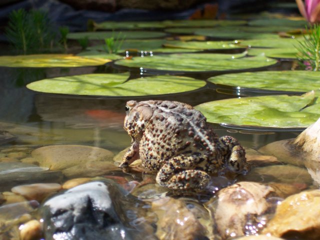 100_2576.JPG