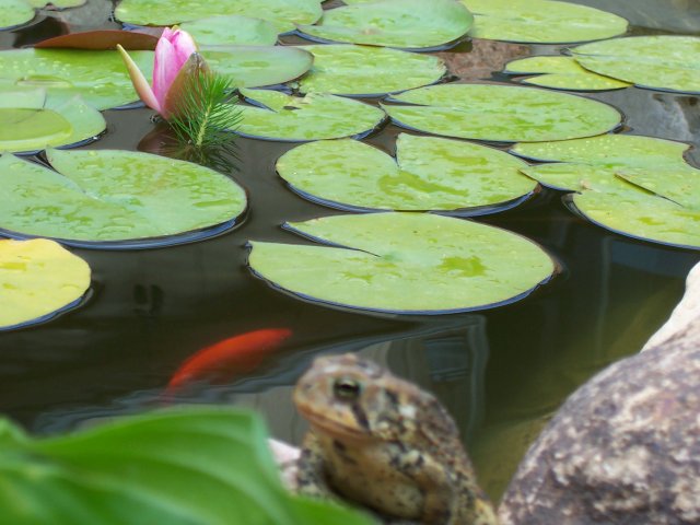 100_2580.JPG