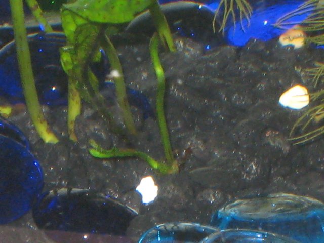 IMG_1860.JPG IMG_1860.JPG