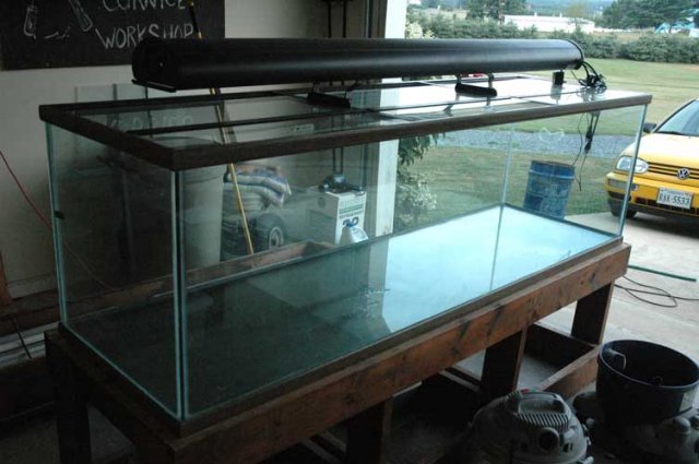 tank-and-light.jpg tank-and-light.jpg