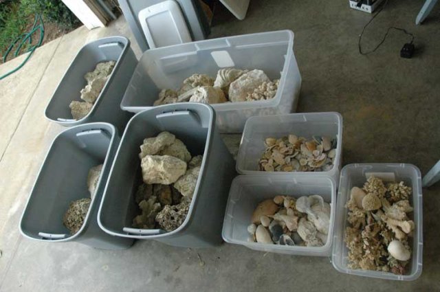 rocks-and-coral.jpg rocks-and-coral.jpg