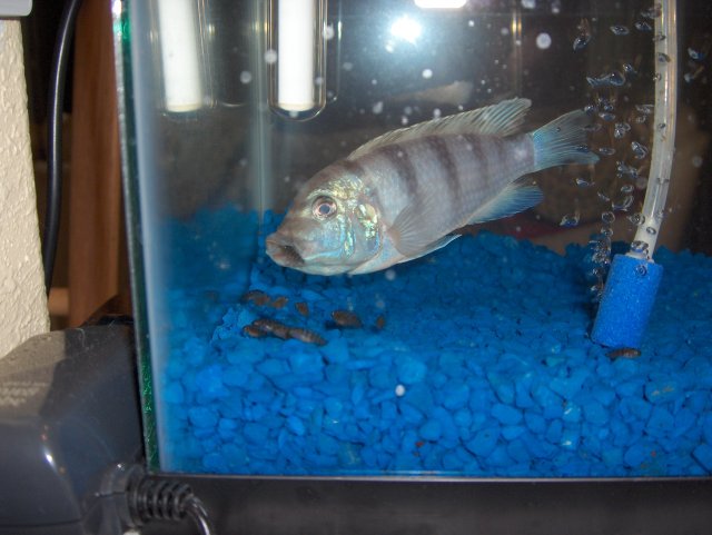 HPIM0977.jpg