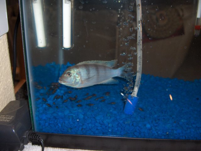 HPIM0978.jpg