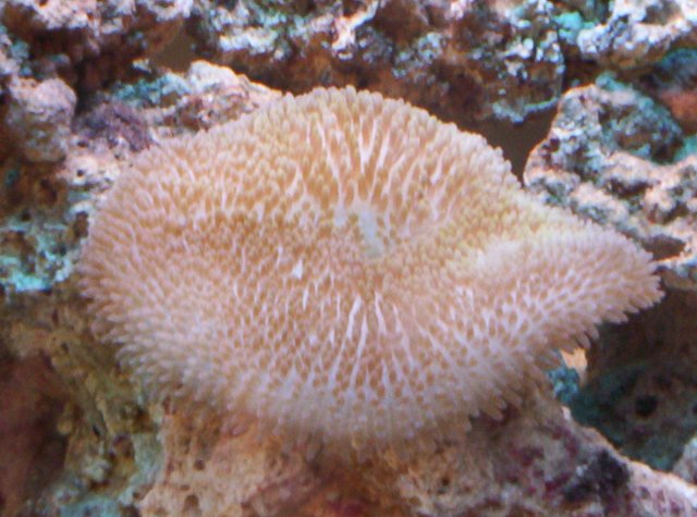 100_1066.jpg