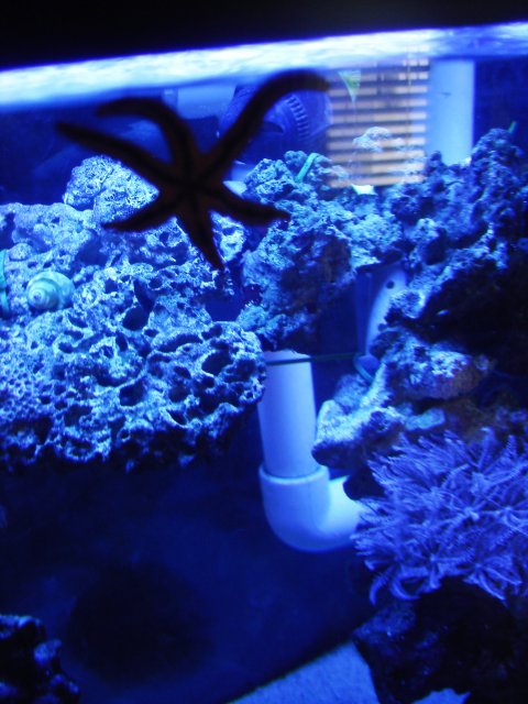DSC04864.JPG