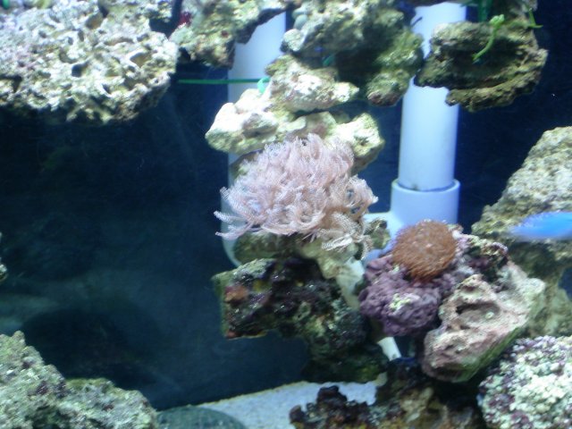 DSC04859.JPG