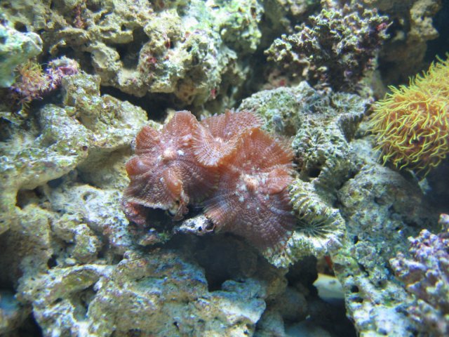 IMG_1015.JPG