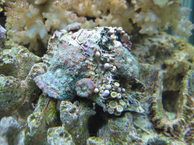 IMG_1038.JPG