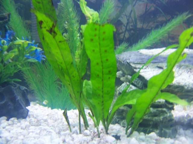 momcamera 002.jpg
