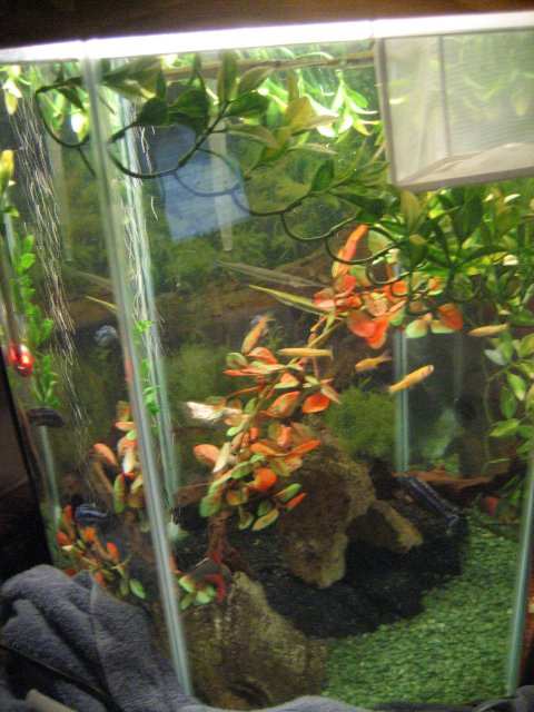 Tanks Alot 017.jpg Tanks Alot 017.jpg