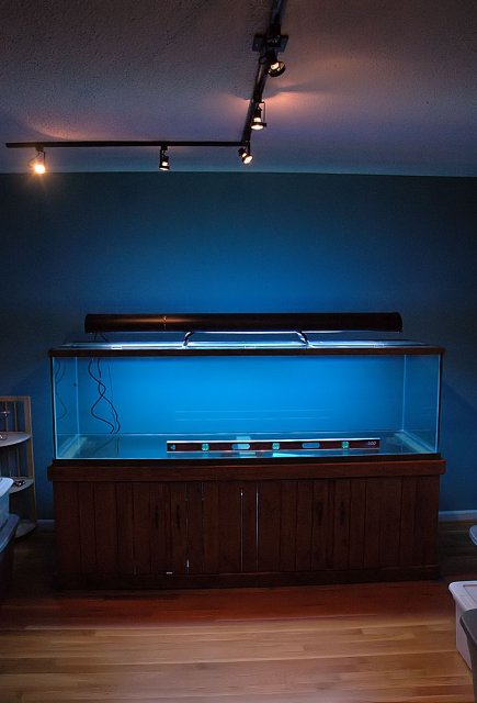 tank-in-place2.jpg