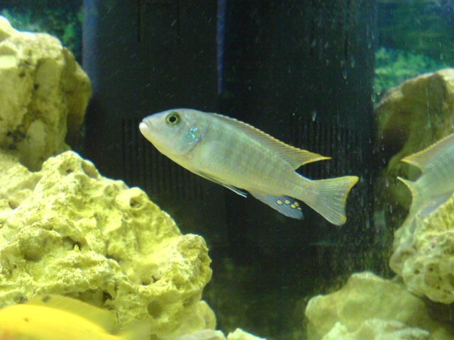DSC00156.JPG