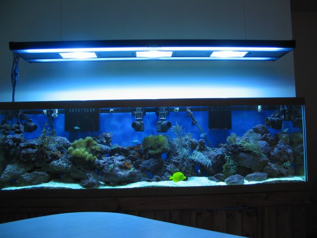 21 July 07-1.JPG