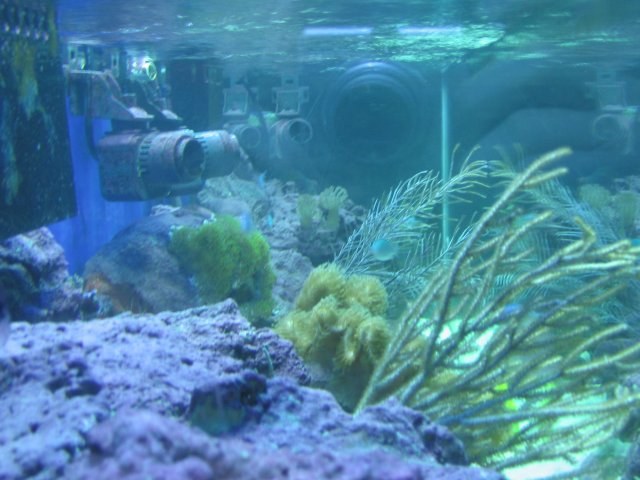 21 July 07-5.JPG