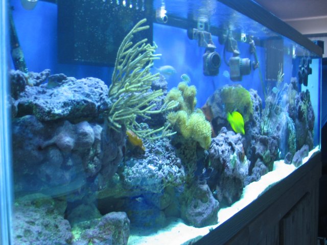 21 July 07-6.JPG