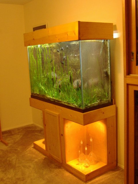 tank3 side.JPG