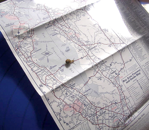 snail on map.jpg