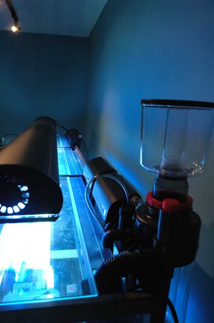 back-of-tank.jpg