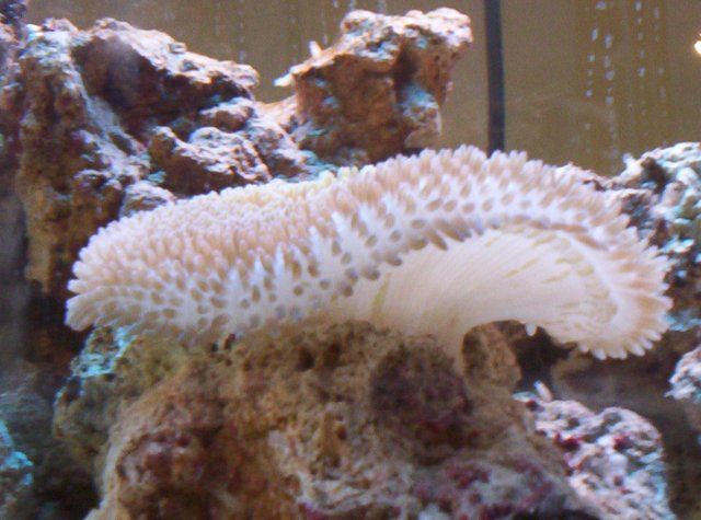 100_1067.jpg 100_1067.jpg