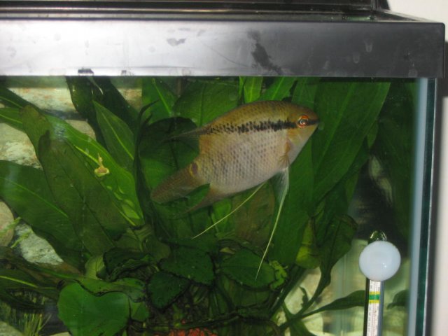 IMG_2073.JPG IMG_2073.JPG