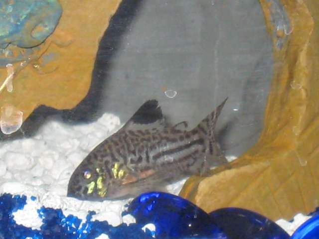 IMG_2025.JPG