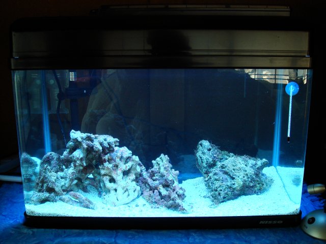 DSC01296.JPG DSC01296.JPG