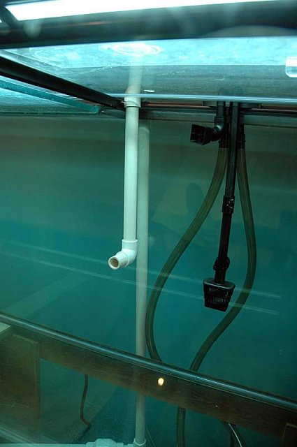 sump-return.jpg